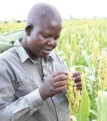 GreenRoots Rural Uganda